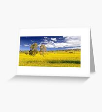 Canola Field In Spring Greeting Card