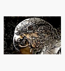 Mechanical Parrot Oil Painting Photographic Print