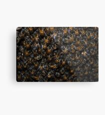 Busy Bees Metal Print