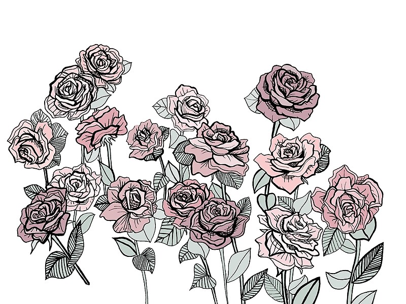 rose bush. graphic. flowers. graphic art. flower. rose. pink. mauve. 