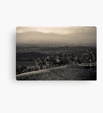 Gippsland Canvas Print