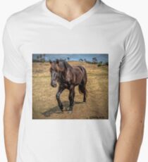 Percheron colt Men's V-Neck T-Shirt