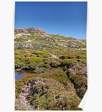 Ben Lomond Poster