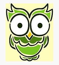 Cute Owl Photographic Print