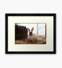 California Framed Print