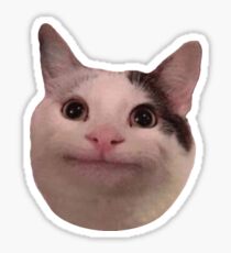 Polite Kitty Sticker