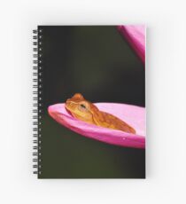 Tiny Yellow Cricket Frog Spiral Notebook