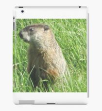 Groundhog iPad Case/Skin