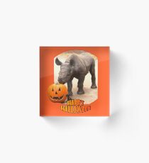 Happy Halloween with Baby Rhinoceros Acrylic Block