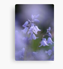 In a sea of blue Canvas Print