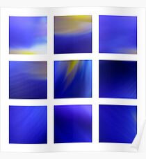 Dark Blue Dutch Iris Poster