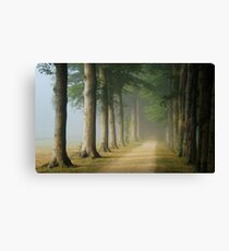 Where will I go from here ... ? Canvas Print