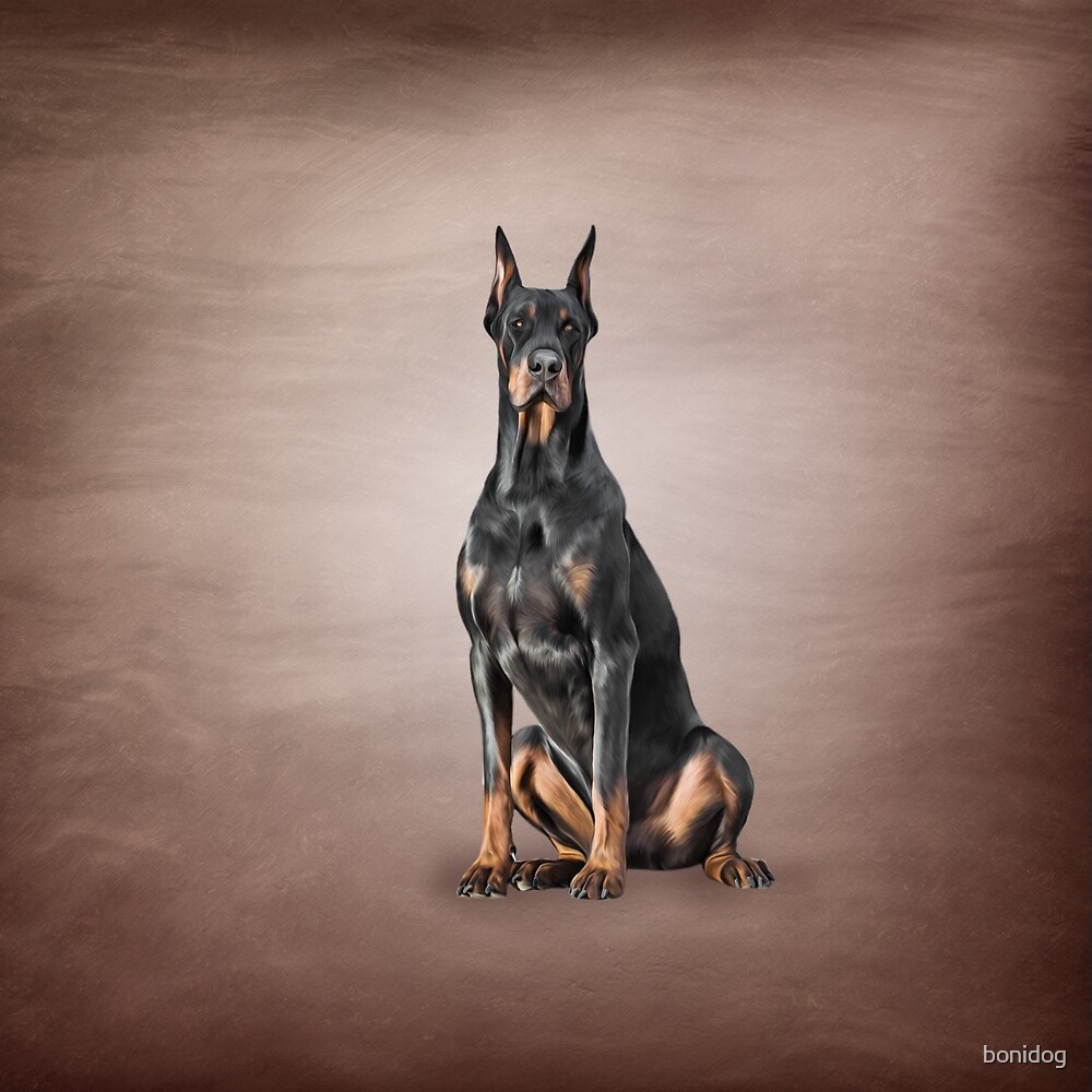 "Drawing Doberman dog" by bonidog | Redbubble