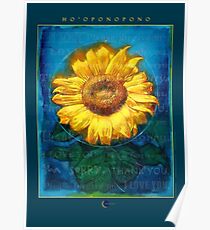 Ho'oponopono Sonnenblume-Reinigungsplakat Poster