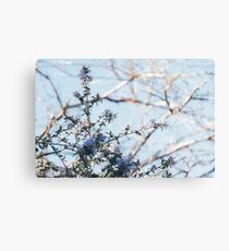 Sping Day Metal Print