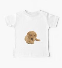 Labrador Welpe Baby T-Shirt