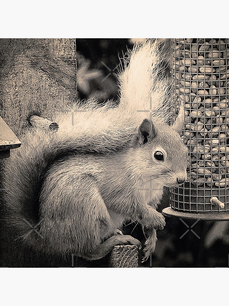 Squirrel in the Garden by BethsdaleArt