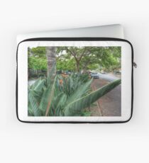 Streetscape Laptop Sleeve