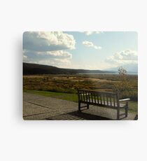 The View Metal Print