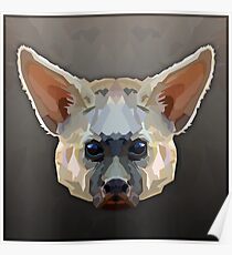 Topographisch: Aardwolf Poster