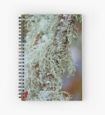 Lichen 6 Vertical Spiral Notebook