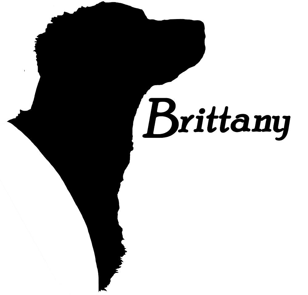 "Brittany pride!" by stellarmule Redbubble