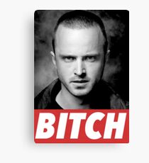 BITCH Canvas Print