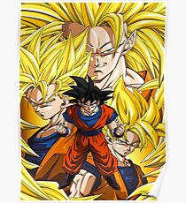 DBZ Goku Forms Poster