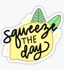 Squeeze The Day Sticker