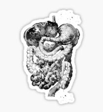 Digestive tract Sticker