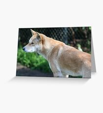 Attentive Greeting Card