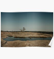 Arabia Mountain Poster