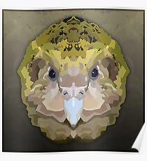 Topographisch: Kakapo Poster