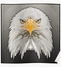 Topographisch: Weißkopfseeadler Poster