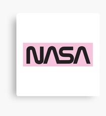 Vintage NASA Box Logo Pink Canvas Print