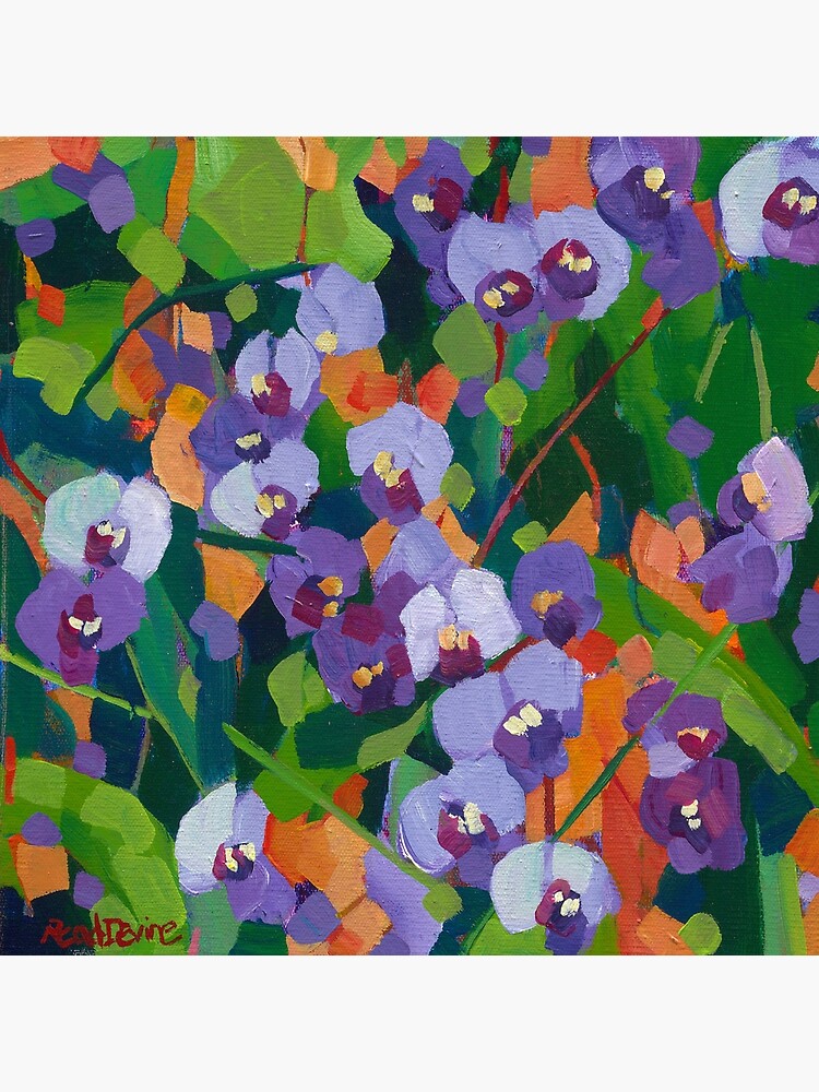 Hardenbergia by depicture