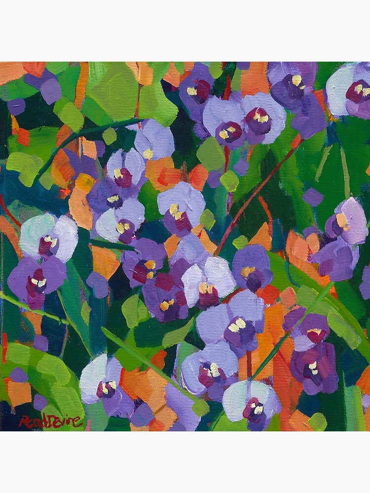 Hardenbergia by depicture