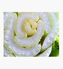 fun with vegetables Photographic Print