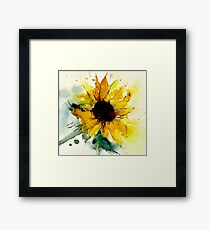 sunflower Framed Print