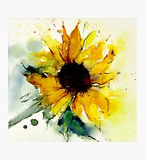 Sonnenblume Fotodruck