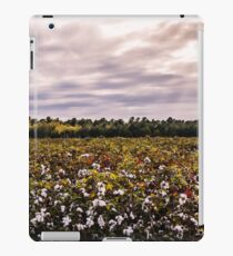 Cotton Field 23 iPad Case/Skin