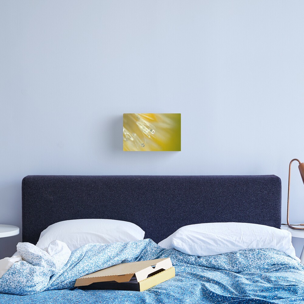 Dandelion in Yellow Canvas Print