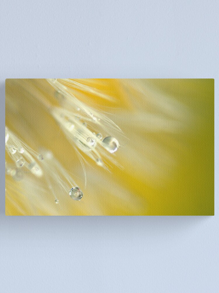 Alternate view of Dandelion in Yellow Canvas Print