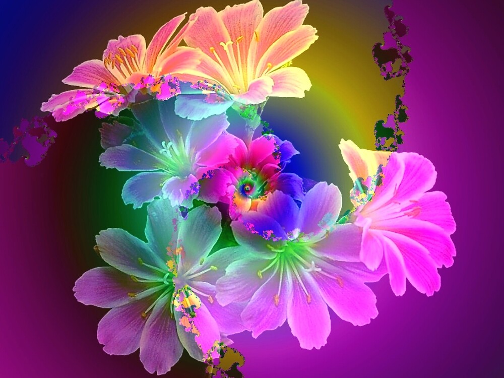 "Light Flowers" by Brian Exton Redbubble