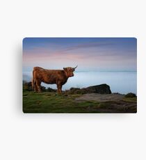 Living on the Edge Canvas Print