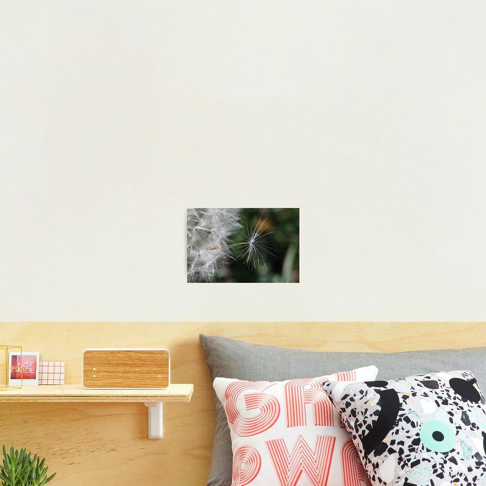 The outsider: leaving the nest Photographic Print