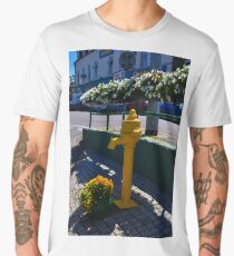 Water pump Bantry Co Cork Men's Premium T-Shirt