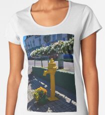 Water pump Bantry Co Cork Women's Premium T-Shirt