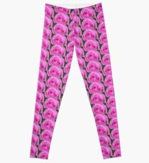 Pinky II Leggings