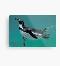 Underwater Ballet Metal Print